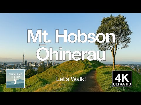 Climb Mt Hobson (Ōhinerau) | Peaceful Walk with Natural Sounds | Auckland NZ