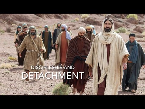 Discipleship and Detachment I Homily for the 23rd sunday in ordinary time, Year C
