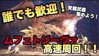 【MHWIB】ムフェトジーヴァ周回