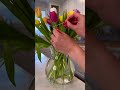 TULIP TIPS! 🌷#flowerhacks #tipsandtricks #easyhack