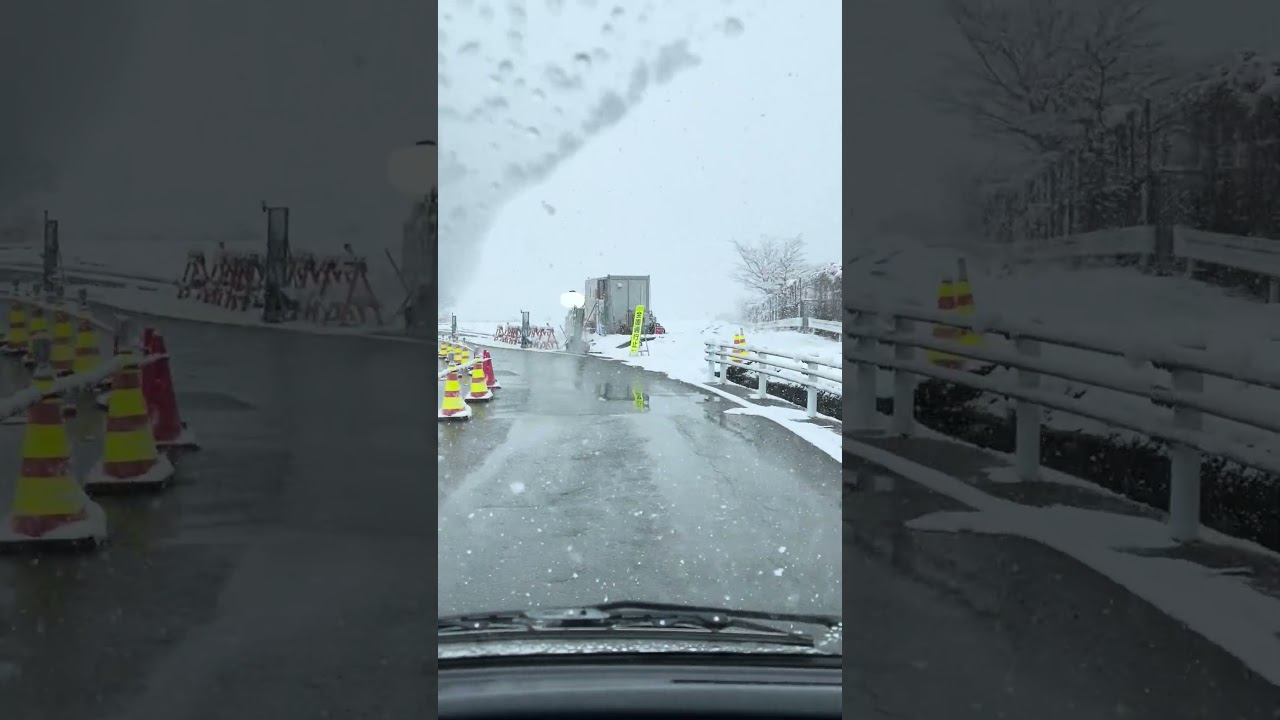 A beleza das Arvores quando Neva   Japão#shorts