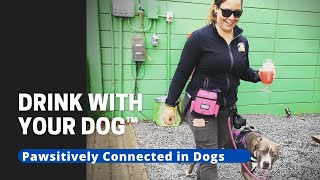Drink With Your Dog™