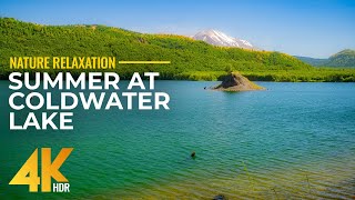 4K HDR Summer Day at Coldwater Lake | Stunning Nature of Mount St. Helens Area with Authentic Sounds