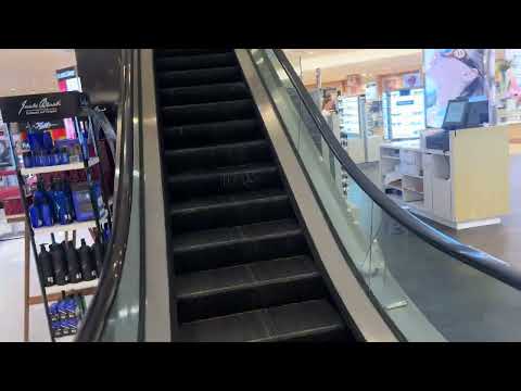 Dillards Lafayette