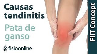 Causas de la tendinitis de la pata de ganso según la medicina natural
