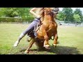 Girl Small Pony Riding LIVE Riding Lovers Official