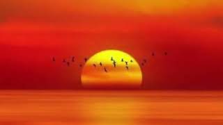 Danny Peck Where The Sun Goes Down