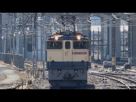 金ちゃん レトロちゃん - nsnk3