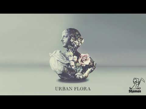 Alina Baraz & Galimatias - Drift