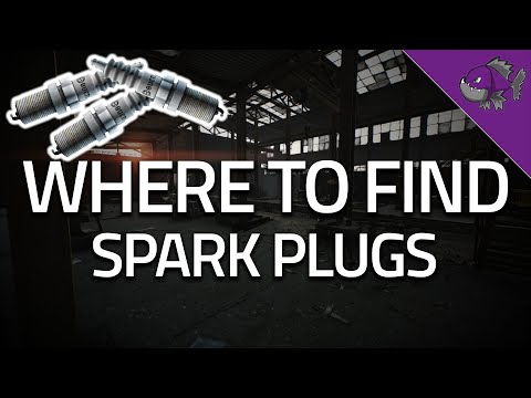 Escape From Tarkov Plug