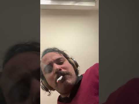 DJ tiger host general levy and daddy Freddy