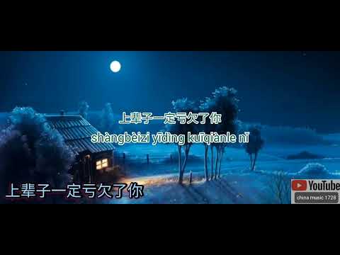 Tôi phải nợ bạn đến cuối đời (shàng bèi zǐ yī dìng kuī qiàn liǎo nǐ - 上辈子一定亏欠了你) - Yang You You