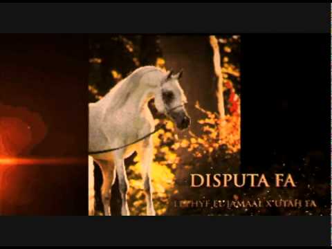 Athbah Al Khalediah contenders