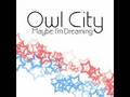 Owl City Rainbow Veins 