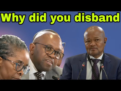 Madlanga destroys Senzo Mchunu hard about disbanding PKTT. WHY?