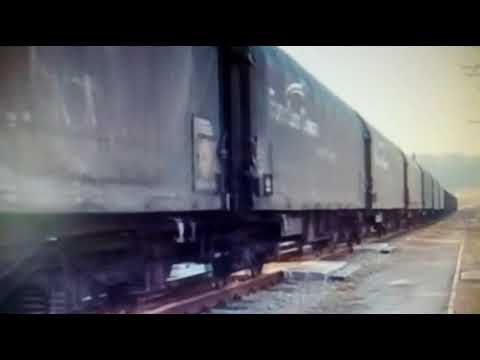 Trenuri / Trains in Bratca ( volumul 1 )
