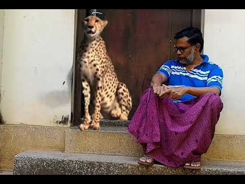 പുപ്പുലി...