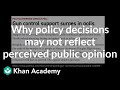 The Impact of Public Opinion on Gun Control Policy Decisions