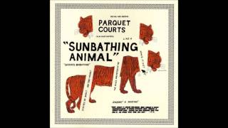 Parquet Courts ~ Ducking & Dodging (2014)