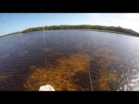 Fishing at Tropical Point (2/7/15)