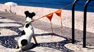 Tinariwen "Chet Boghassa"  - Photos insolites d'Algérie, du Maroc et de la France