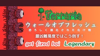 [テラリア]ウォールオブフレッシュ戦 get fixed boi Legendary[Terraria]