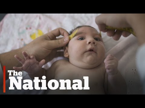 Zika Virus | Emergency Meeting