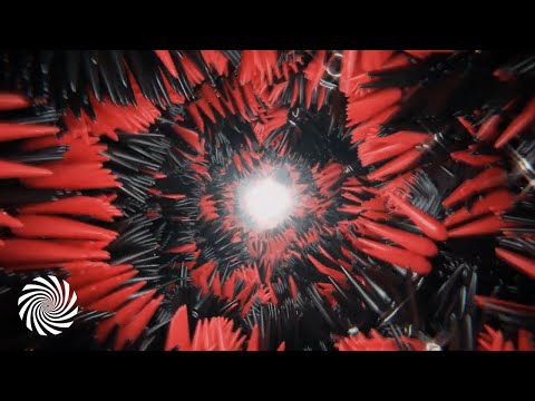 Flowjob & Orion - Back Bone Boogie [Psychedelic Visuals]