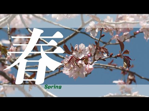 畜大の一年 ～春夏秋冬～