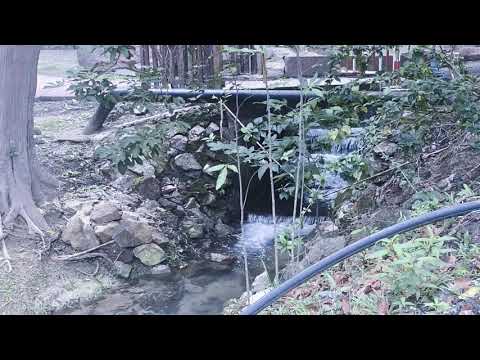 Avaliações do Telok Bahang Forest Park & ​​​​Museum/Acesso/Horário de funcionamento｜Penang Island