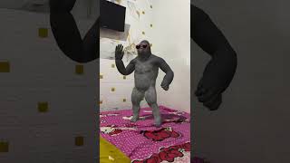 Download lagu Gorila joget 😆#fyp #viral #gorila #jogedpargoy mp3 Download lagu Gorila joget 😆#fyp #viral #gorila #jogedpargoy mp3