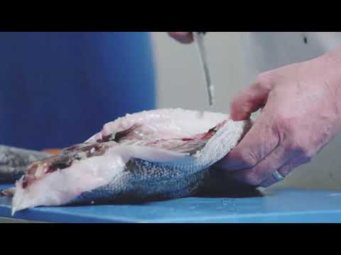 Fishmonger video 3