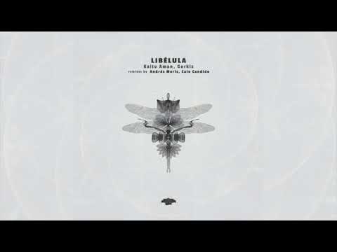 Kaito Aman, Gorkiz - Libélula (Andrés Moris)