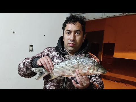🎣 Callacate: Pesca y ceviche casero, a 45 minutos de Cutervo 🐟