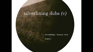 B. Doodlebug - Loose In Your Mind (Silverlining Remix) [Svd005]