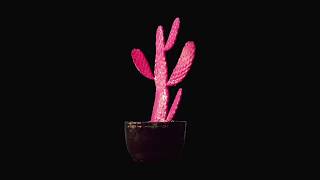 JP Saxe - Anybody Else (Win and Woo Remix) [Official Audio]