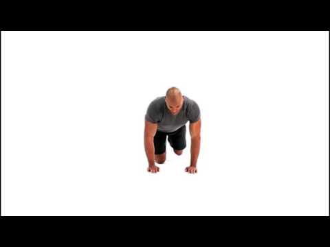 Quadruped with Leg Lift Exercise