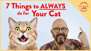 Instantly Improve Your Cat