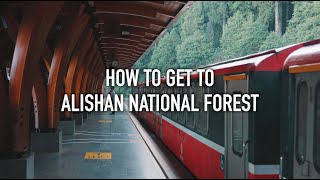 How to Get to Alishan National Forest (Taiwan Guide)