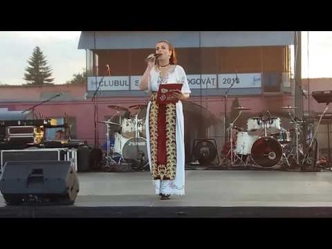 FINAL DE SPECTACOL CU ANSAMBLURILE  POPULARE  LA ZILELE COMUNEI VLADIMIRESCU 20170603 203907