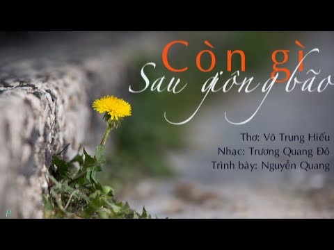 Còn gì sau giông bão - Nguyễn Quang