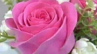 Download lagu Selimut Hitam mp3