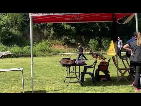 VV1 Eros team Tierras Charras