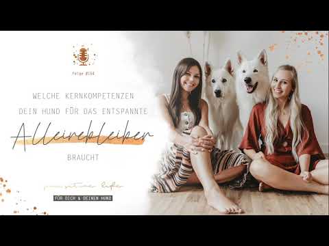 #154 Welche Kernkompetenzen dein Hund für das entspannte Alleinebleiben braucht