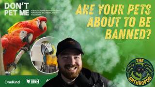 Is Scotland About To Ban Exotic Pets The Arthropod Episode 3