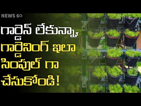 How to Start Vertical Gardening at Home Telugu