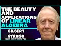 Gilbert Strang Linear Algebra Engineering Computer Science AI Hrvoje Kukina Podcast 26