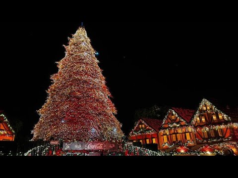 Navidalia un mundo lleno de alegría y magia