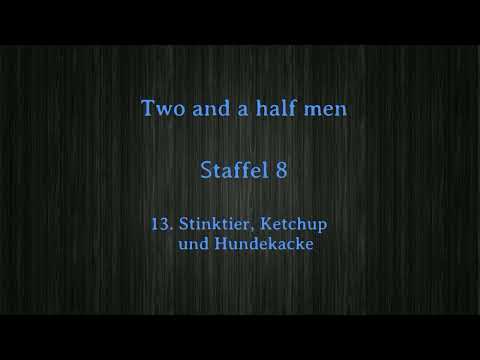 Two and a half men Staffel 8 F 13 -16 ,tonspur , einschlafen