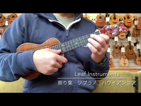 Leaf Instruments 照り葉 Soprano | Reverb